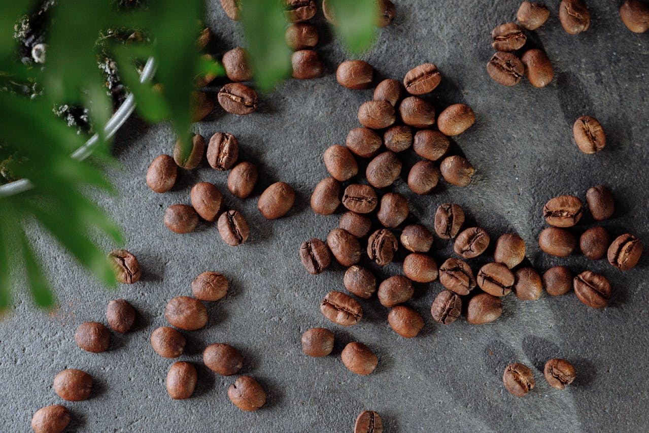 bahaya minum kopi setiap hari